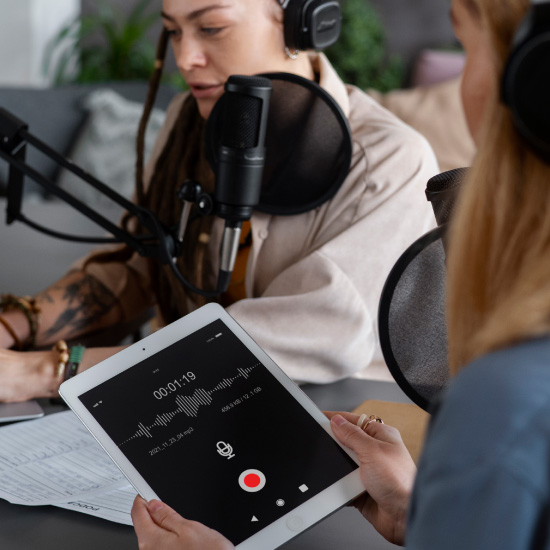 voice-bot-what-we-did